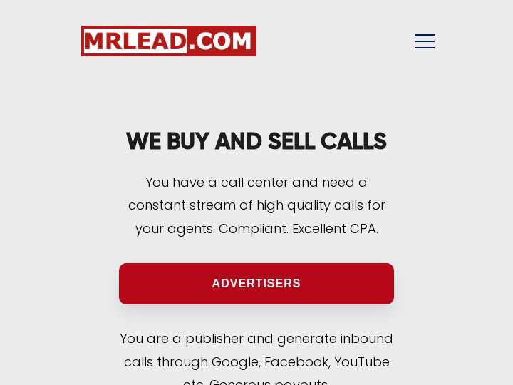 MrLead website preview