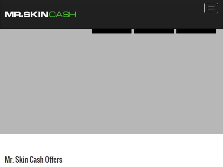 MrSkinCash website preview