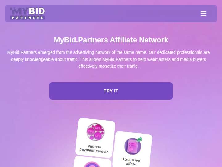 MyBid Partners website preview