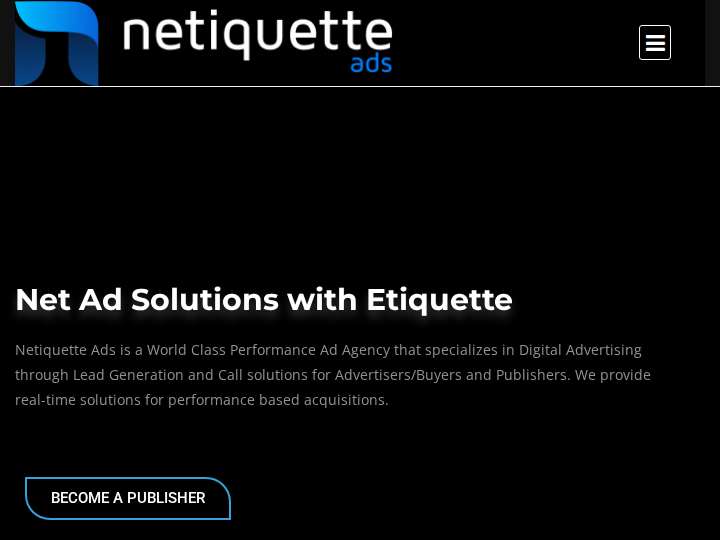 Netiquette Ads website preview
