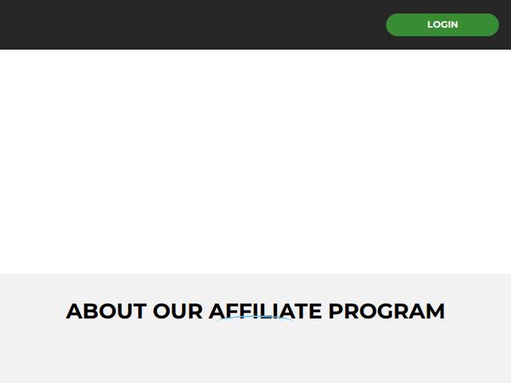 NetoPartners website preview