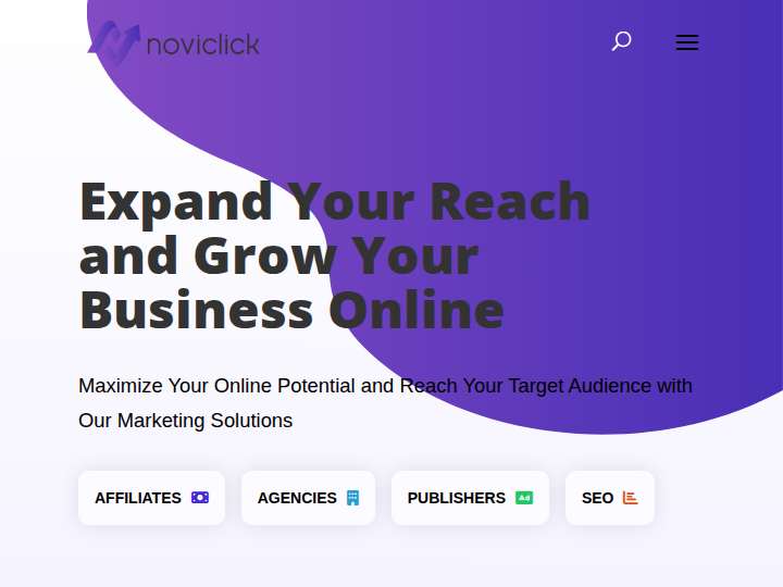 Noviclick website preview