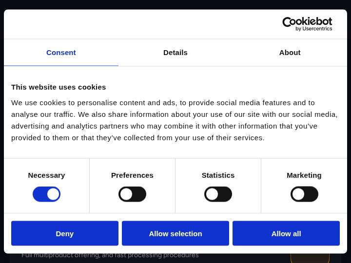 OSOM.Partners website preview