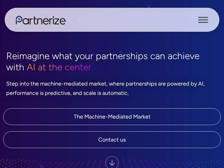 Partnerize website preview