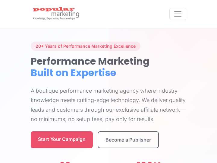 Popular Marketing website preview