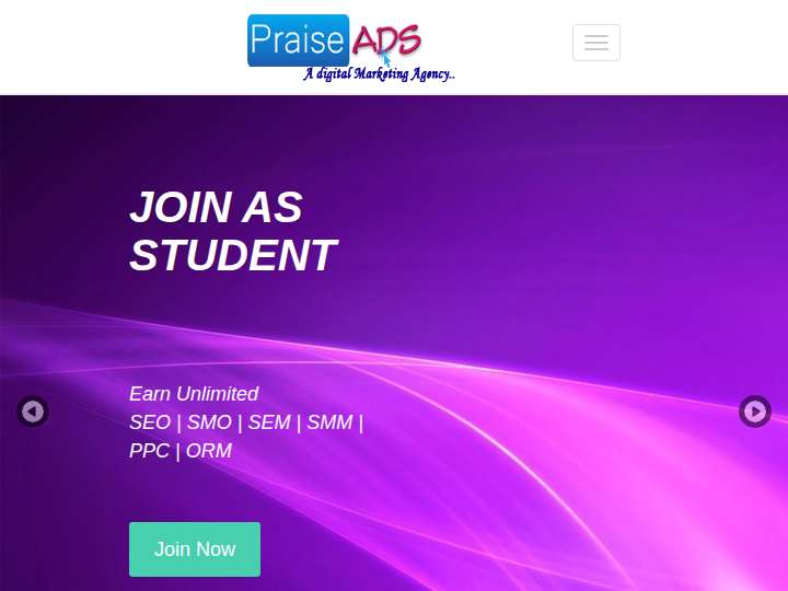 Praise Ads Media website preview