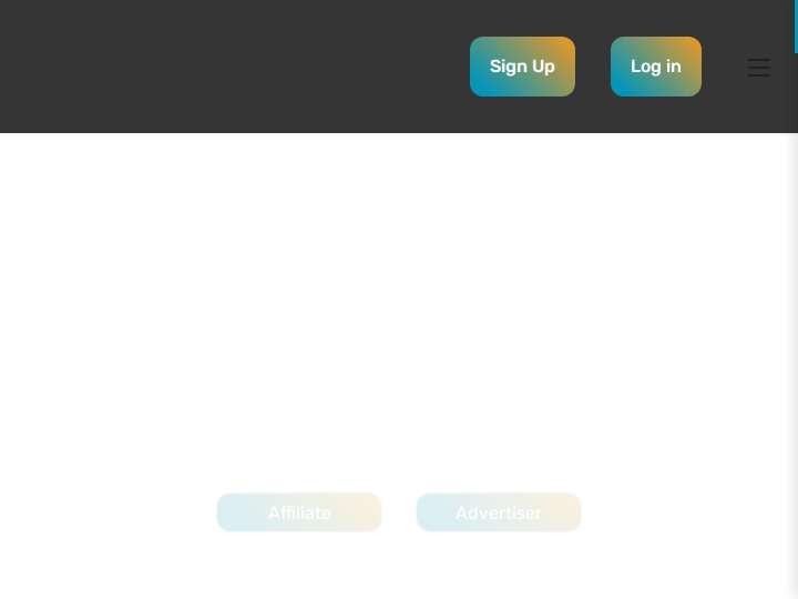 PremiumCPAleads website preview