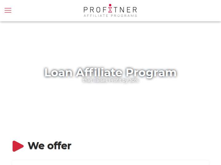 Profitner website preview