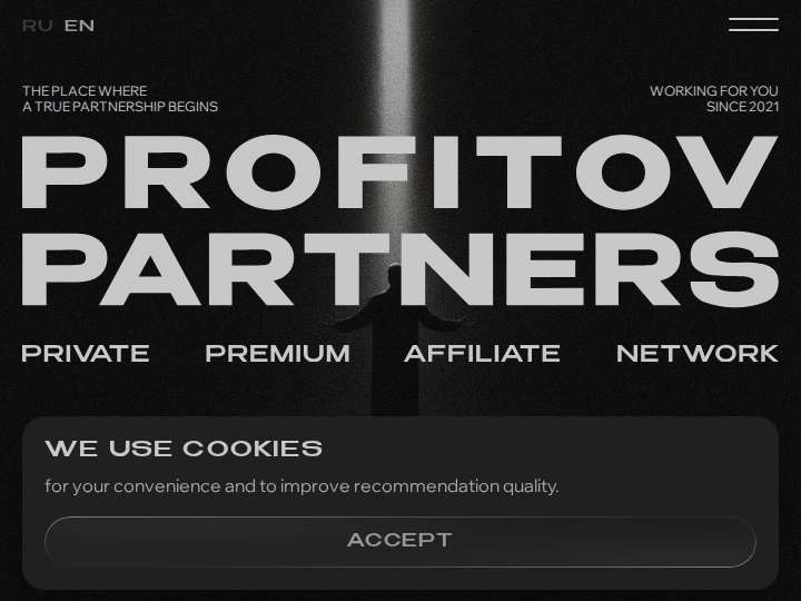 Profitov.Partners website preview