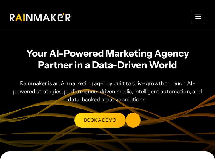 Rainmaker website preview