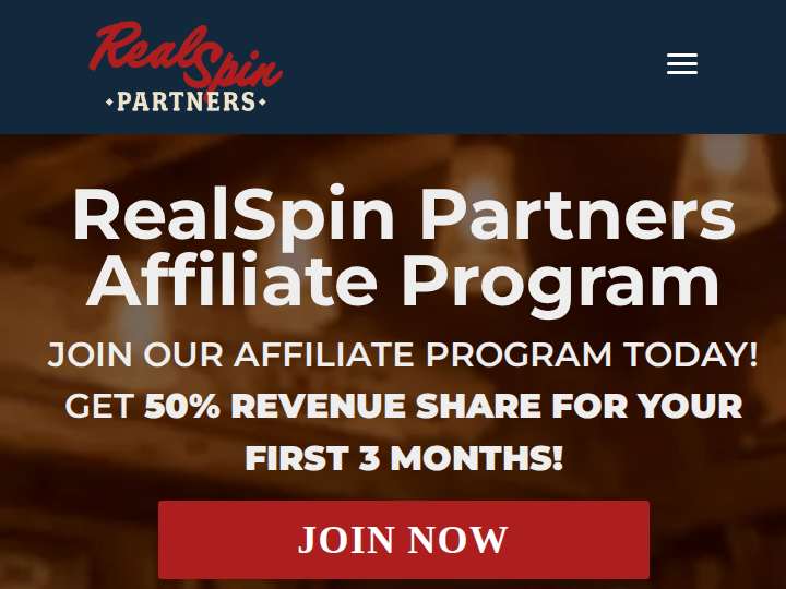 RealSpin Partners website preview