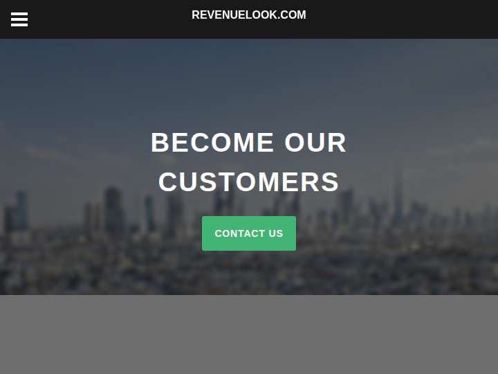 Revenue Look website preview
