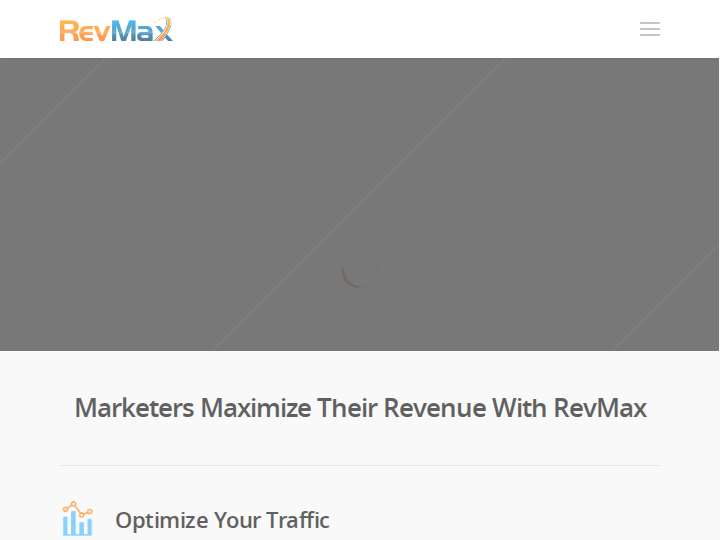 RevMax website preview