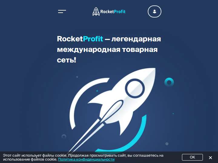 RocketProfit website preview