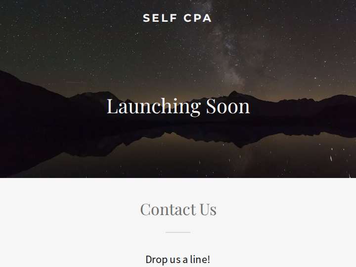 SelfCpa website preview