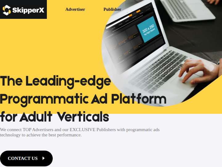 SkipperX website preview
