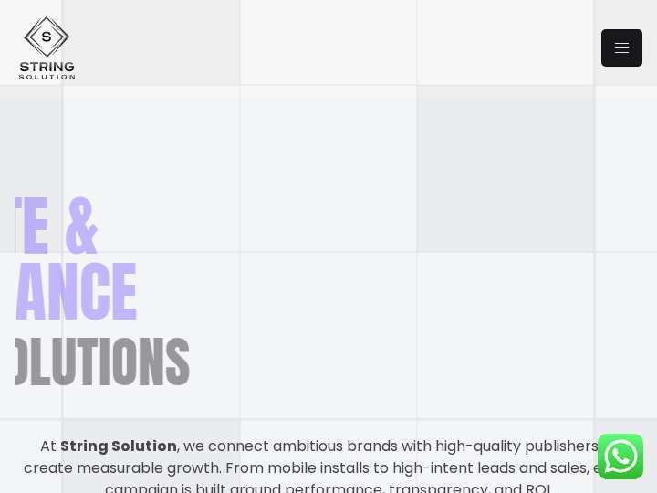 Stringsolution website preview