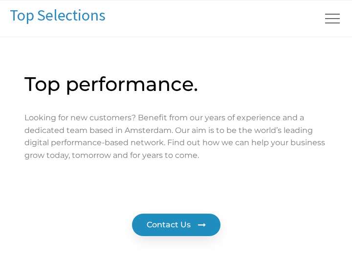 Top Selections website preview