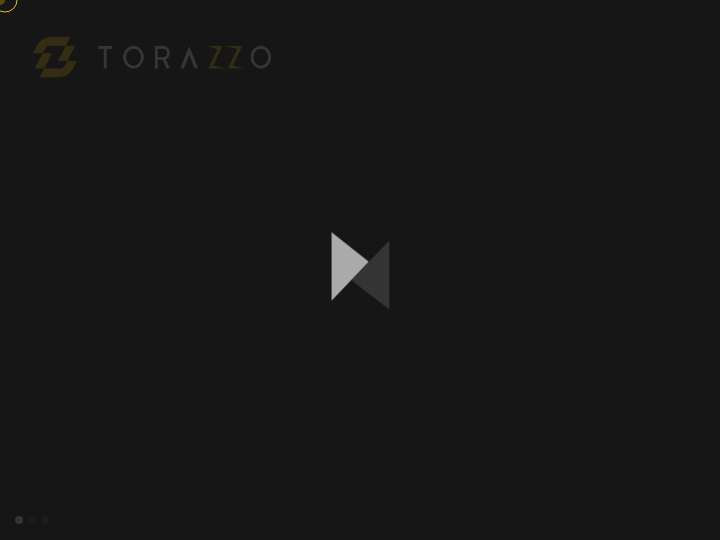 Torazzo website preview