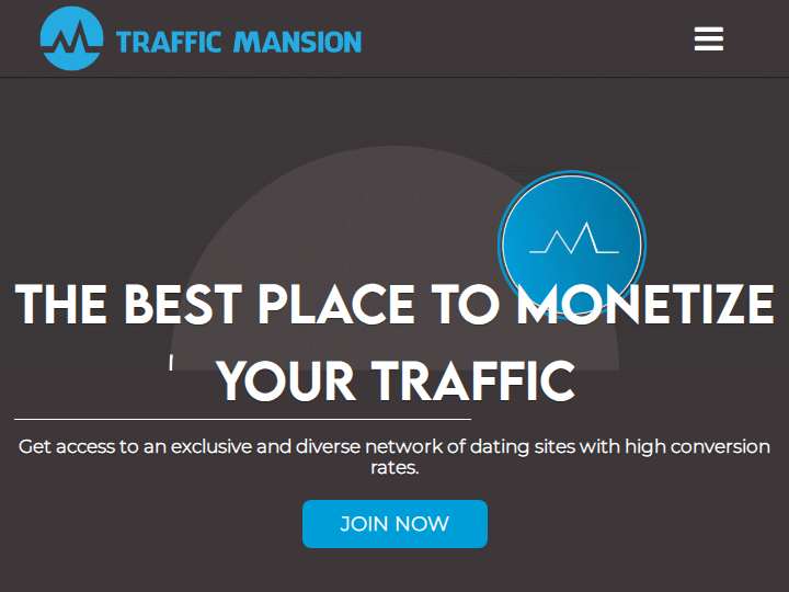 Traffic Mansion website preview