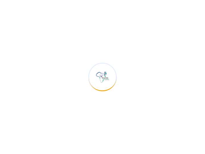 TrafficSummer website preview