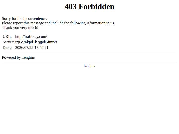 Traffikey website preview