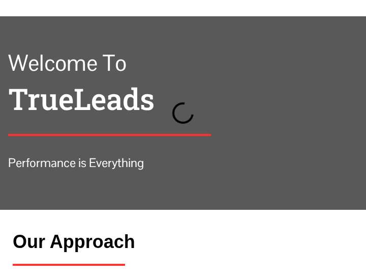 TrueLeads website preview