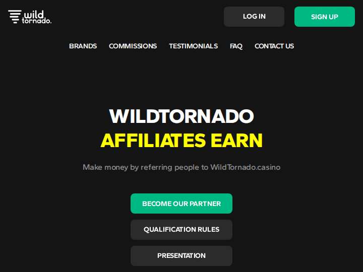 WildTornado Partners website preview