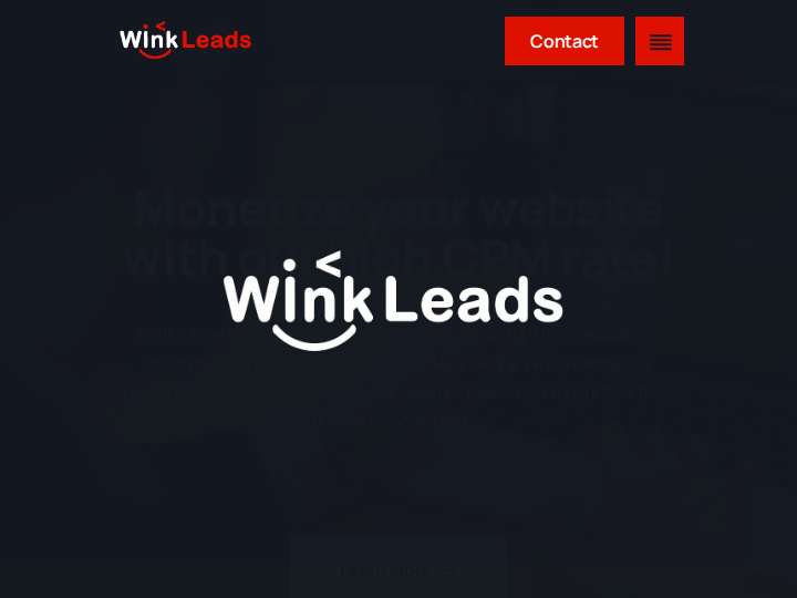 WinkLeads website preview