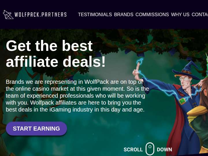 Wolfpack Partners website preview