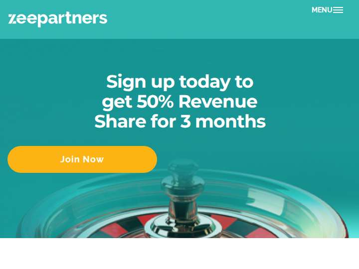 ZeePartners website preview